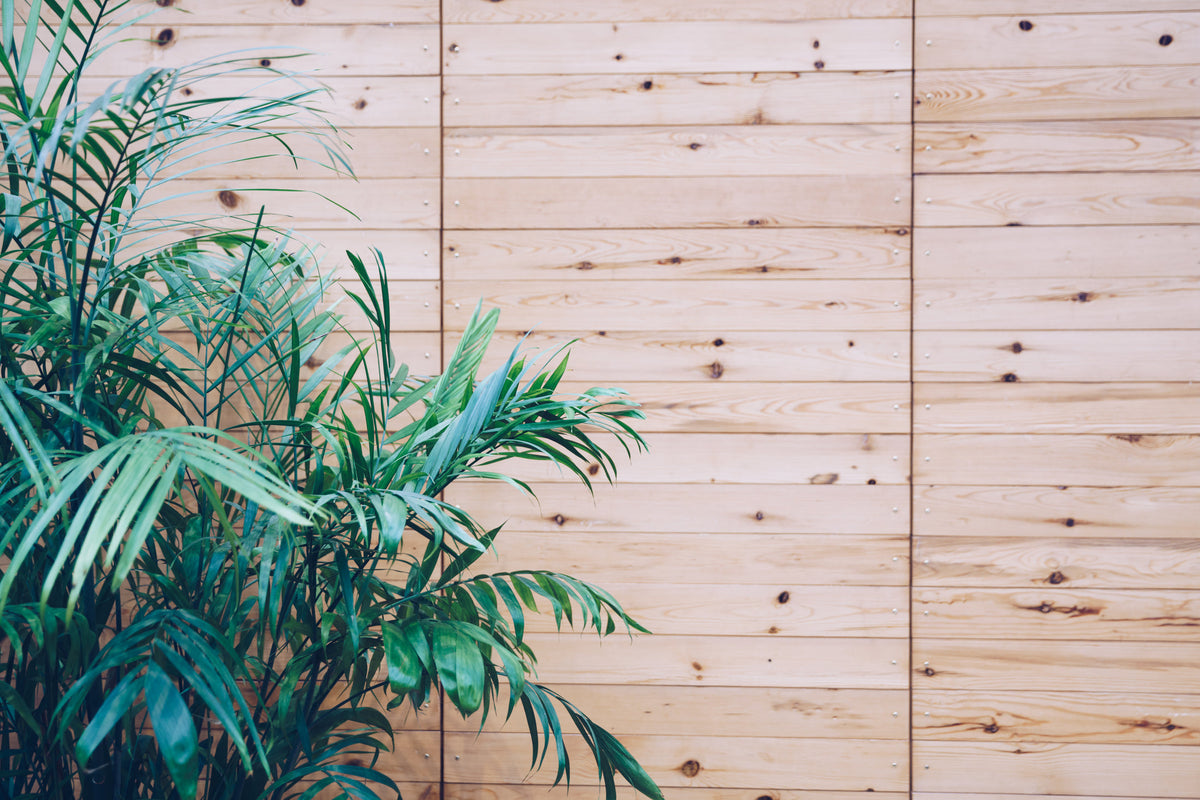 Greenery & Planters
