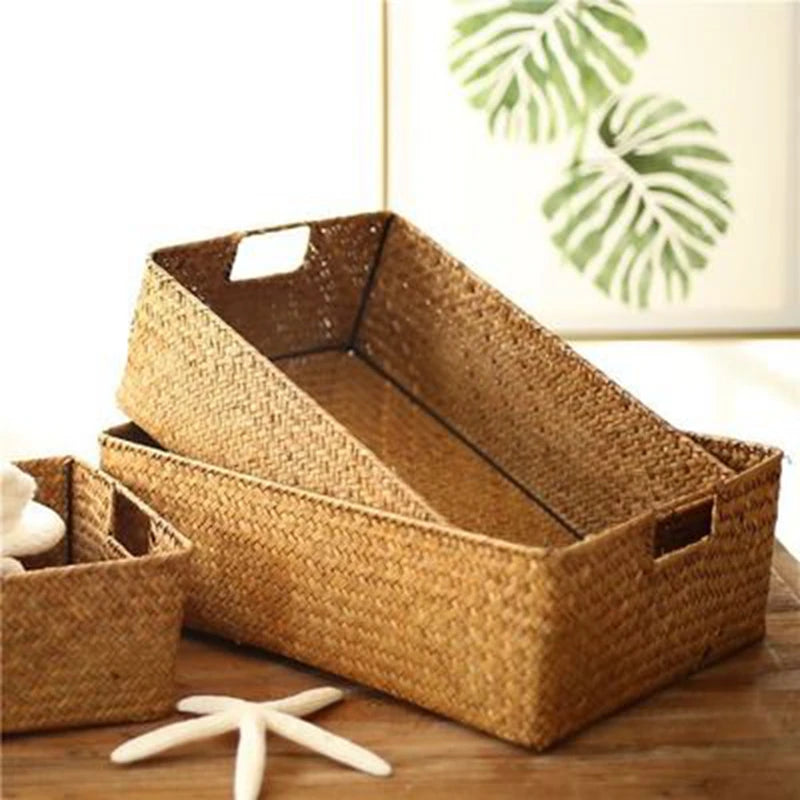 Tray holding household items