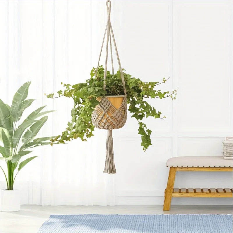 Macrame hanger with a trailing plant in a bright living room