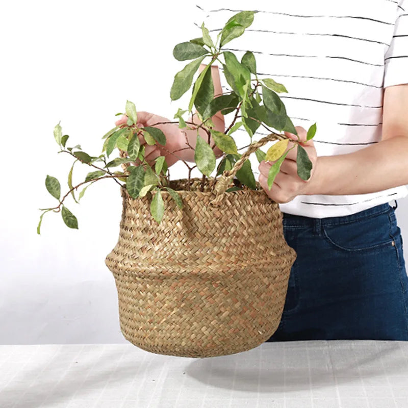 Basket in a living room
